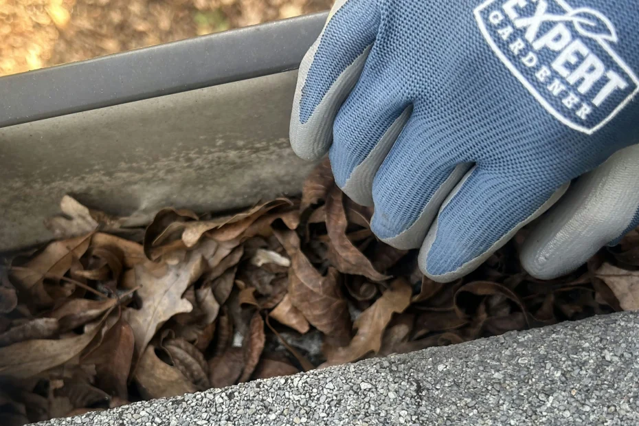 Gutter Cleaning Hedwig Village, TX