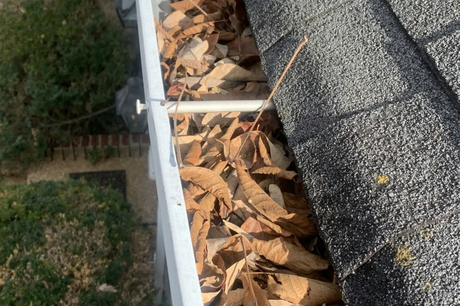 Gutter Cleaning Hedwig Village, TX